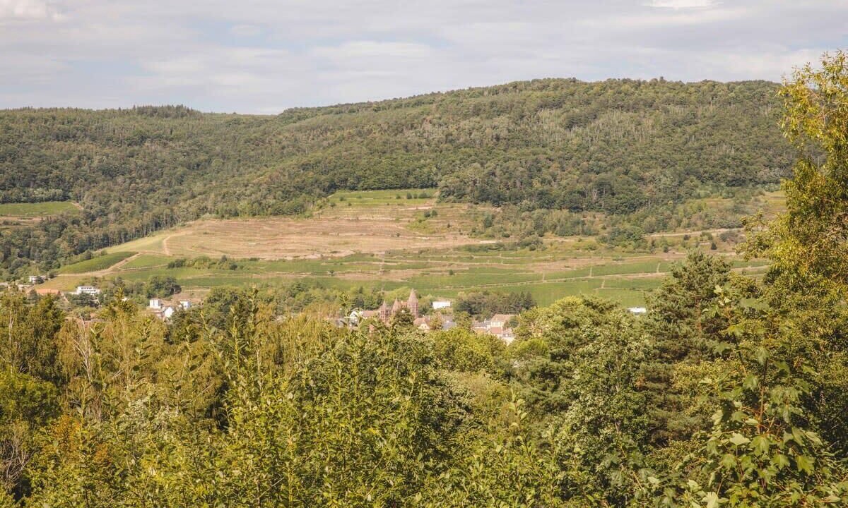 Photo of Others in Guebwiller