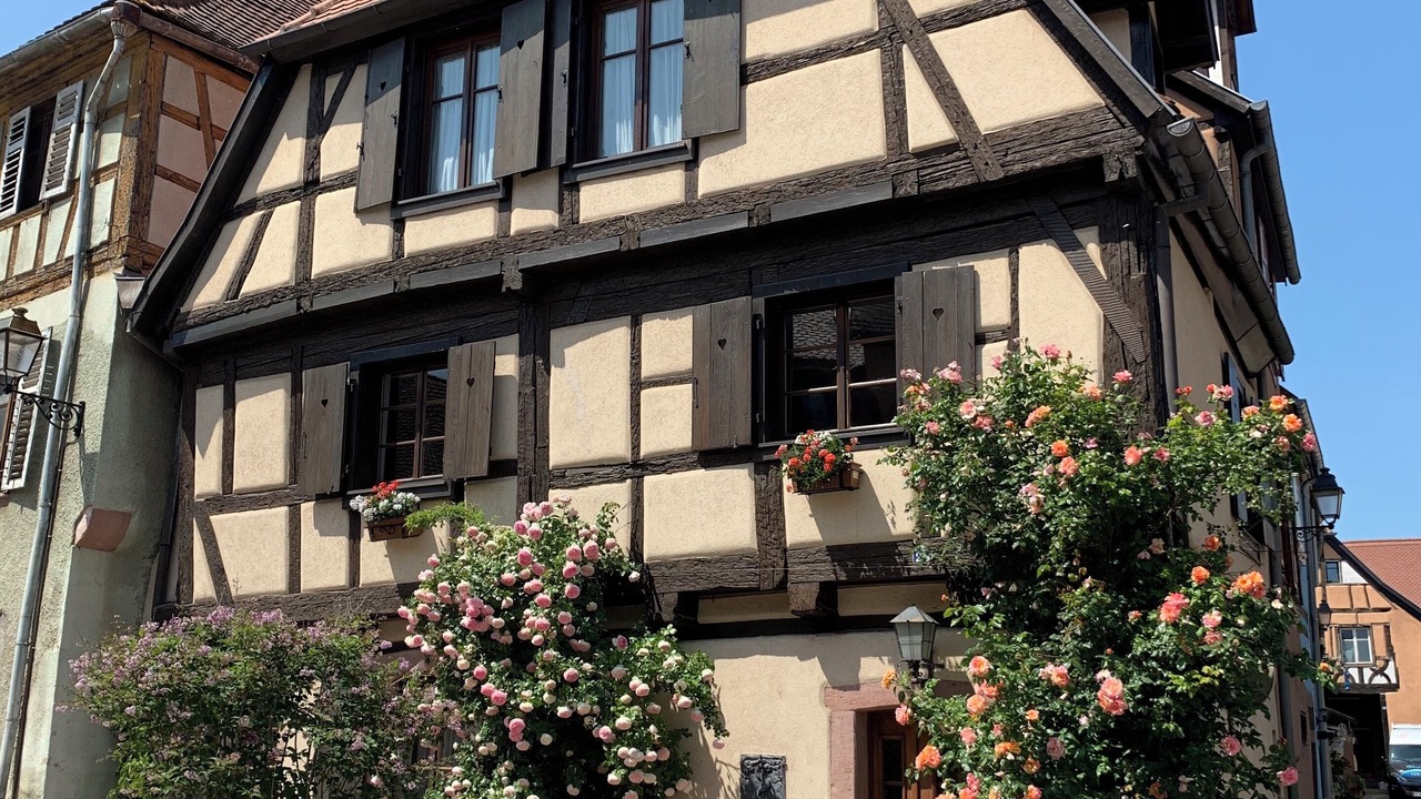 Photo of Outdoor in Buhl