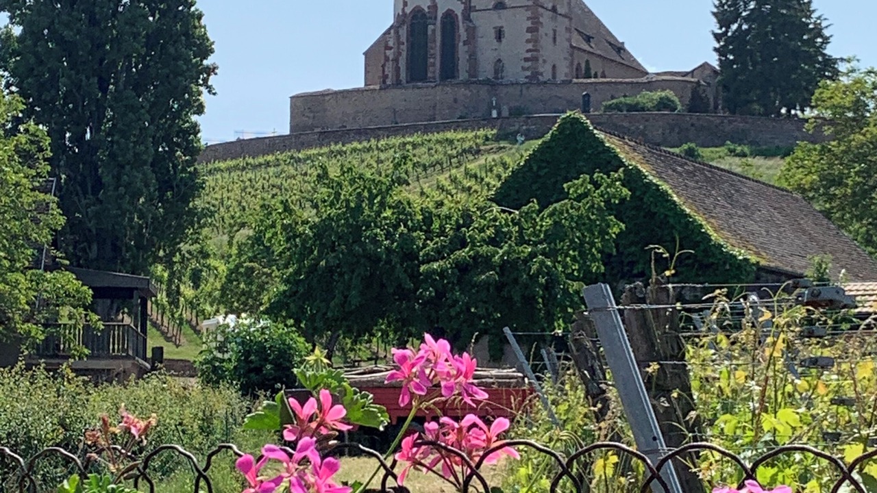 Photo of Outdoor in Buhl