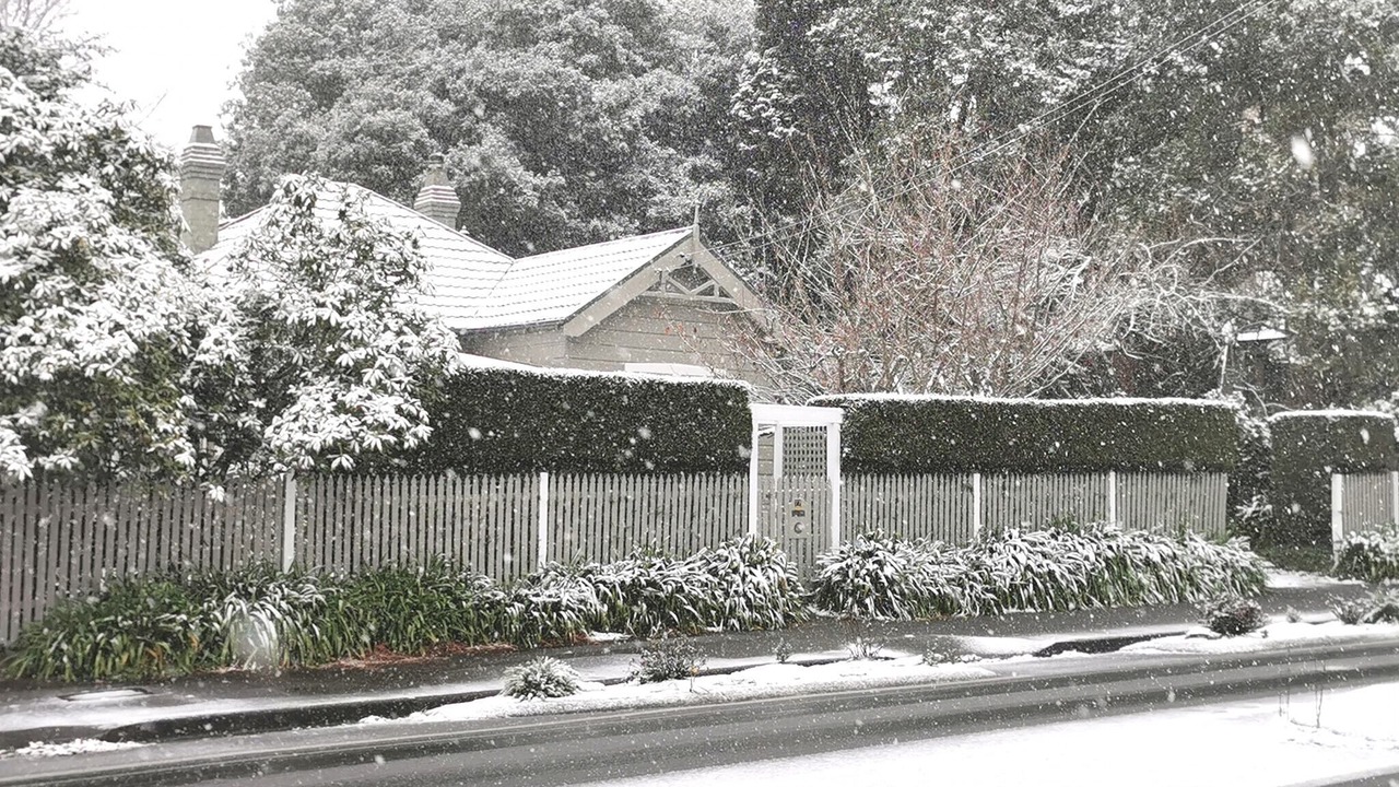 Photo of Outdoor in Leura