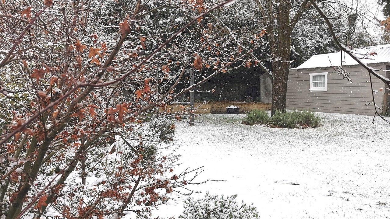 Photo of Outdoor in Leura