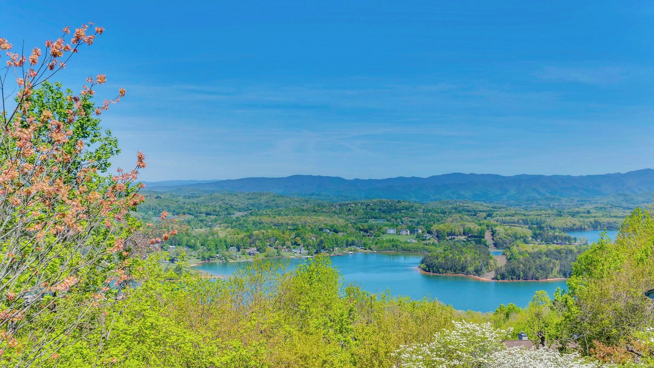 Photo of Others in Hiawassee