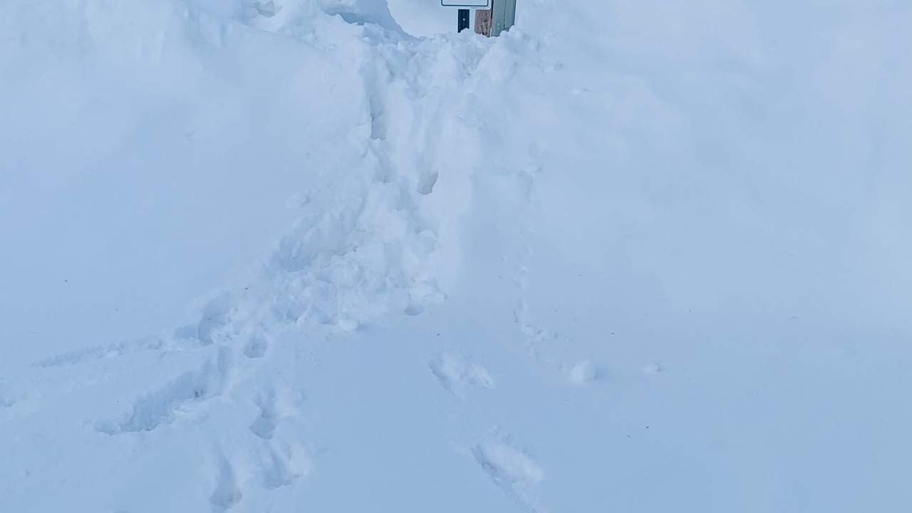 Photo of Outdoor in Alyeska