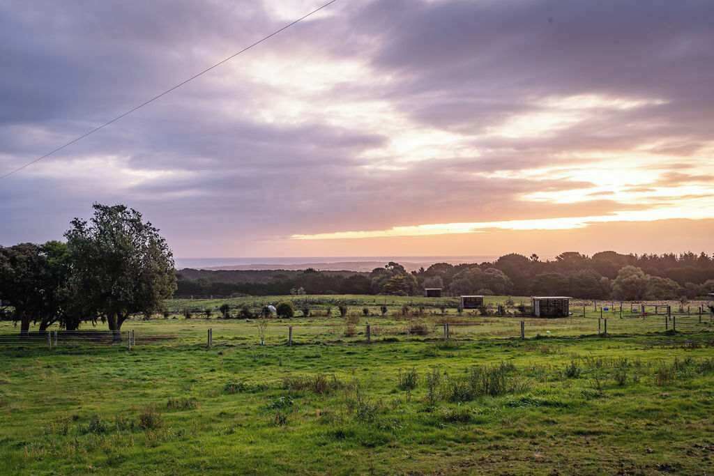 Photo of Others in Cape Schanck