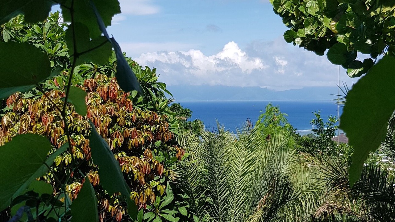 Photo of Outdoor in Punaauia