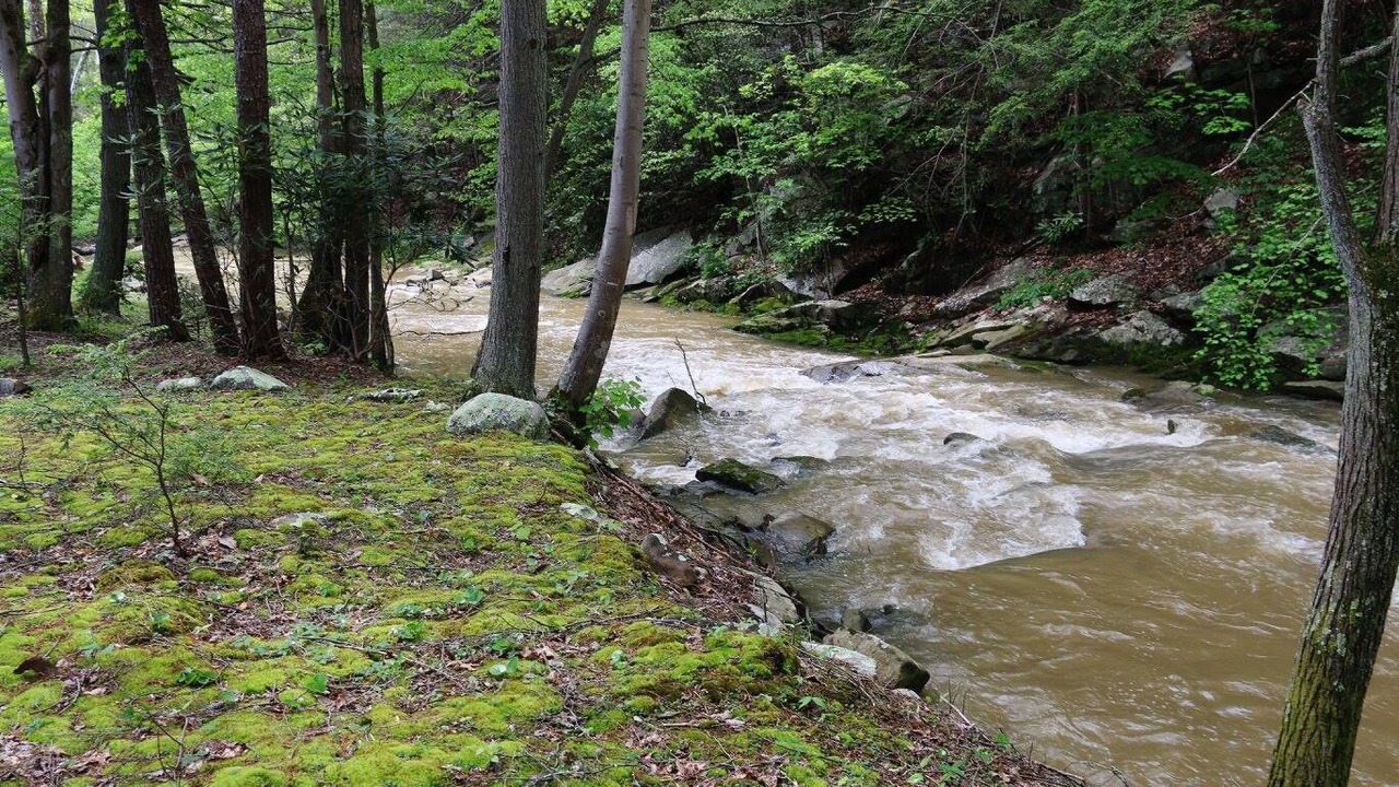Photo of Outdoor in Goldbond