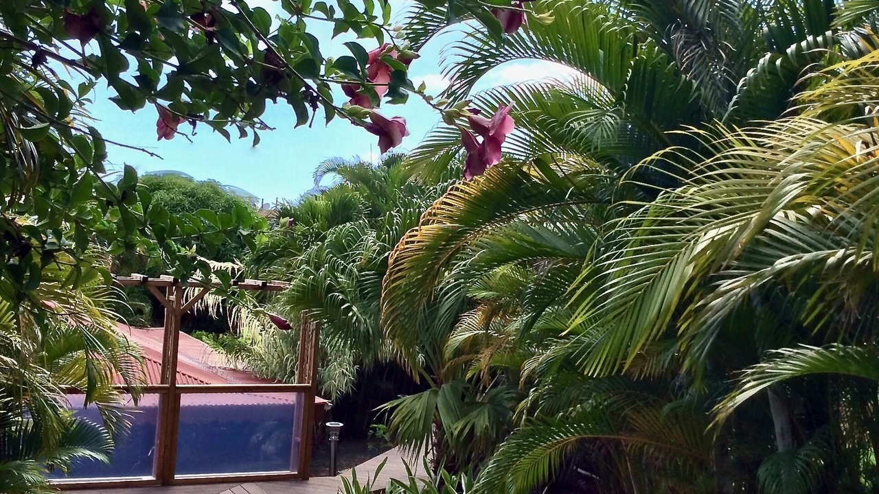 Photo of Outdoor in Vieux-Habitants