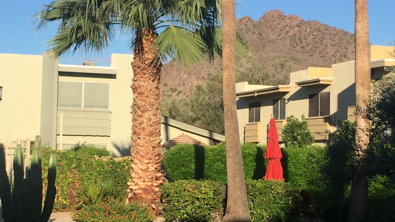Photo of Outdoor in South Scottsdale