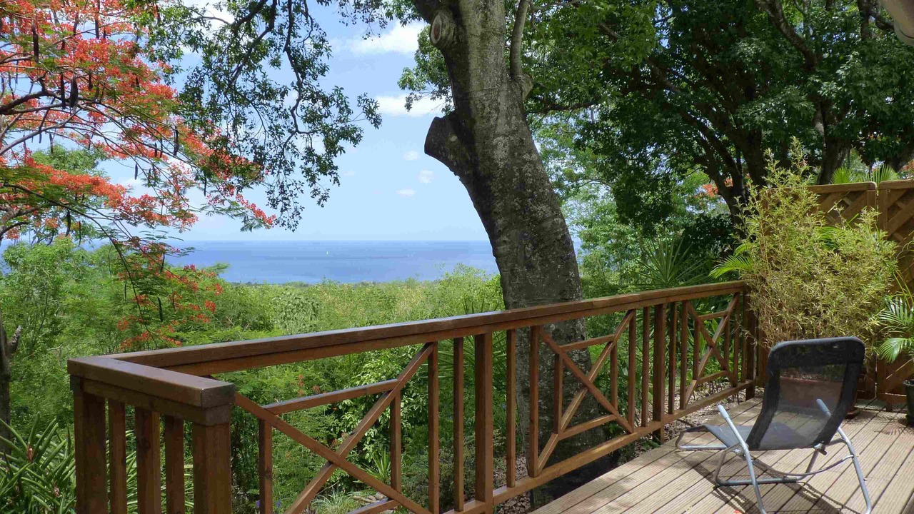 Photo of Outdoor in Vieux-Habitants