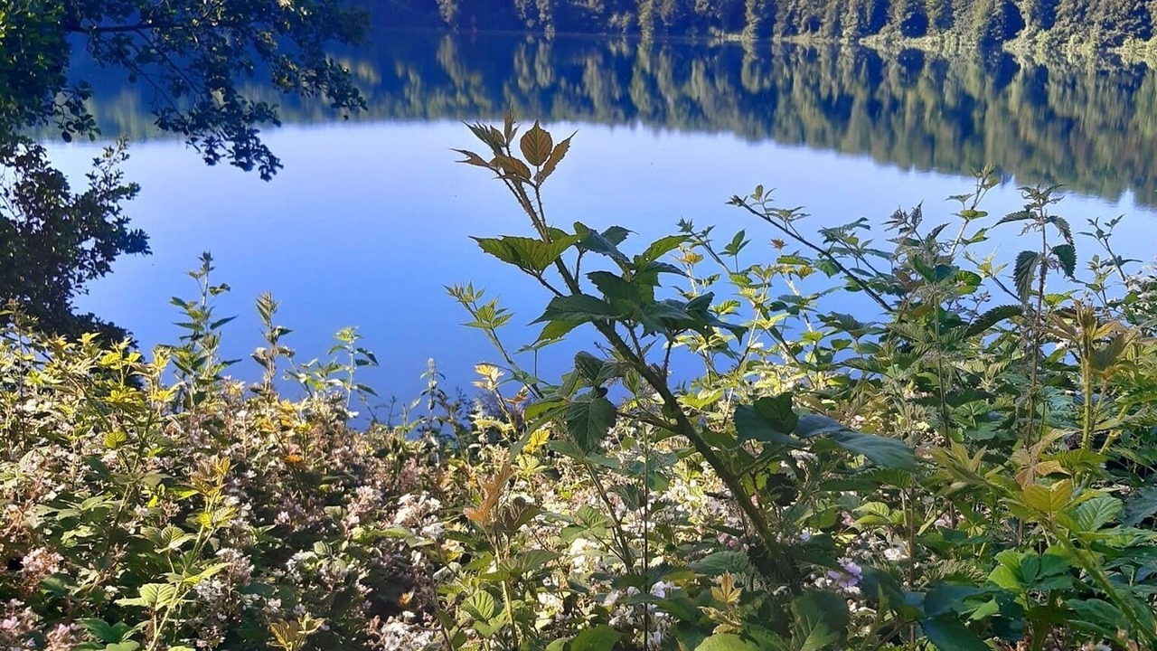 Photo of Outdoor in Udler