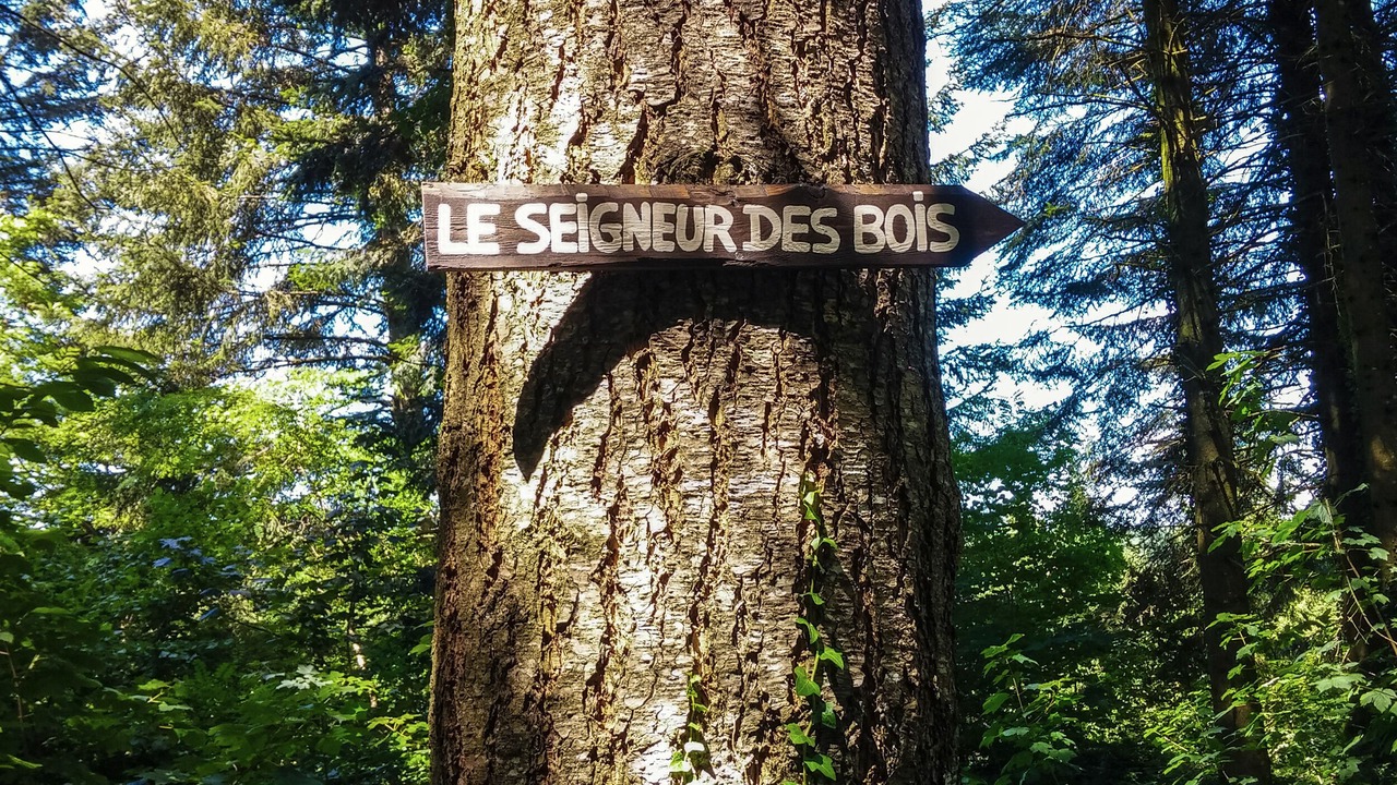 Photo of Outdoor in Bussiere-Galant