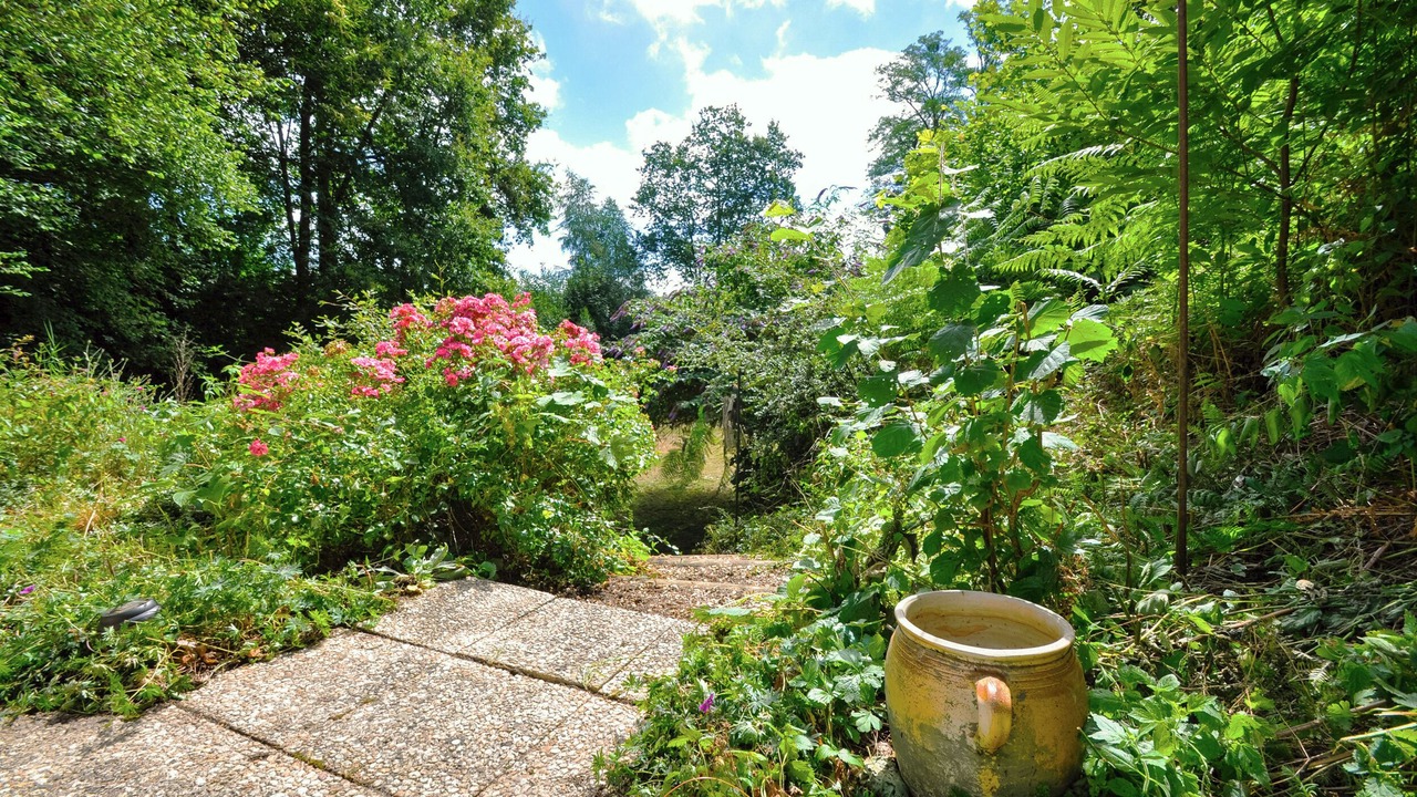Photo of Outdoor in Bussiere-Galant