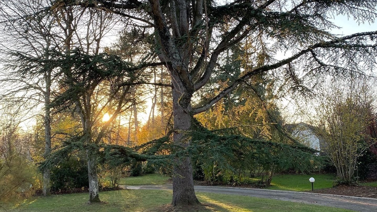 Photo of Outdoor in Chissay-en-Touraine
