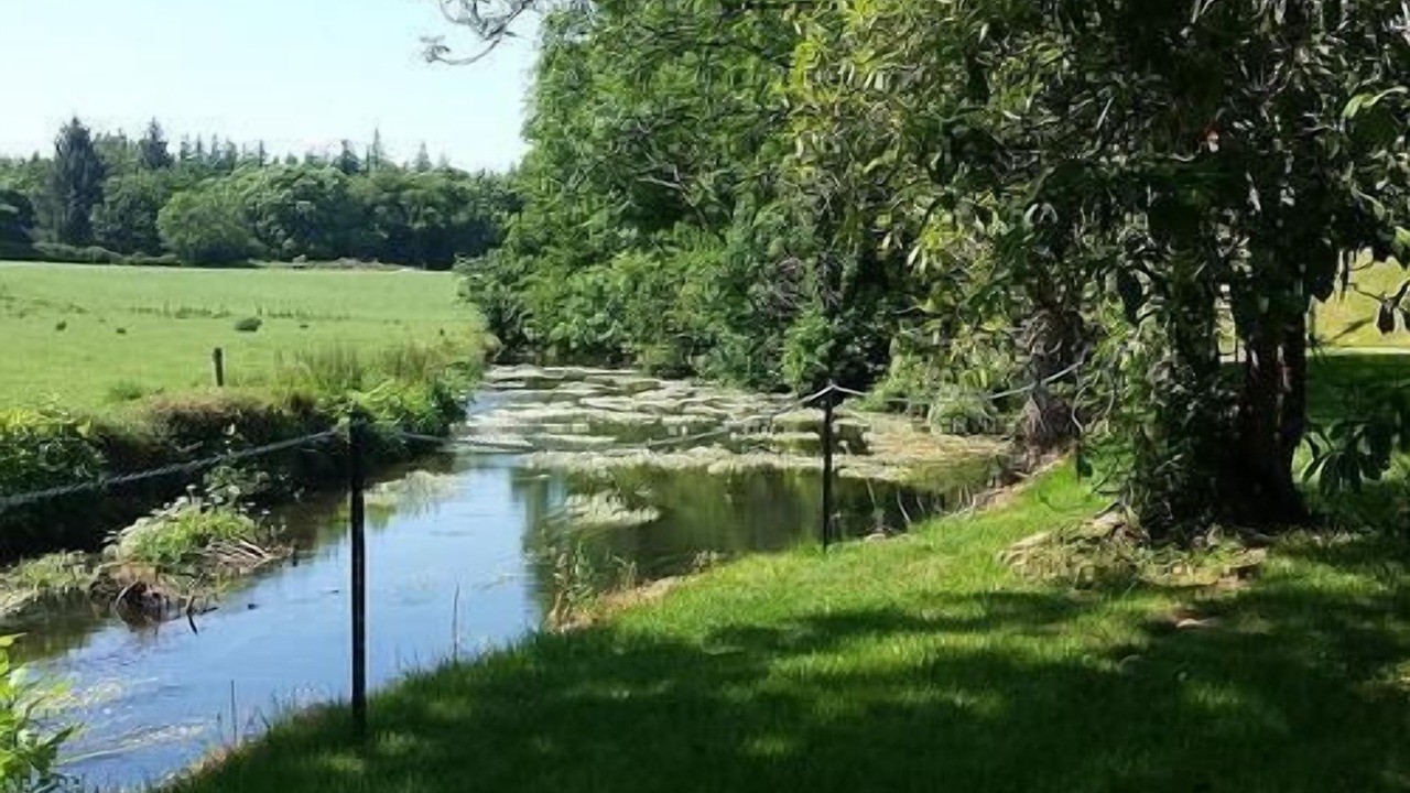 Photo of Outdoor in Templeshannon