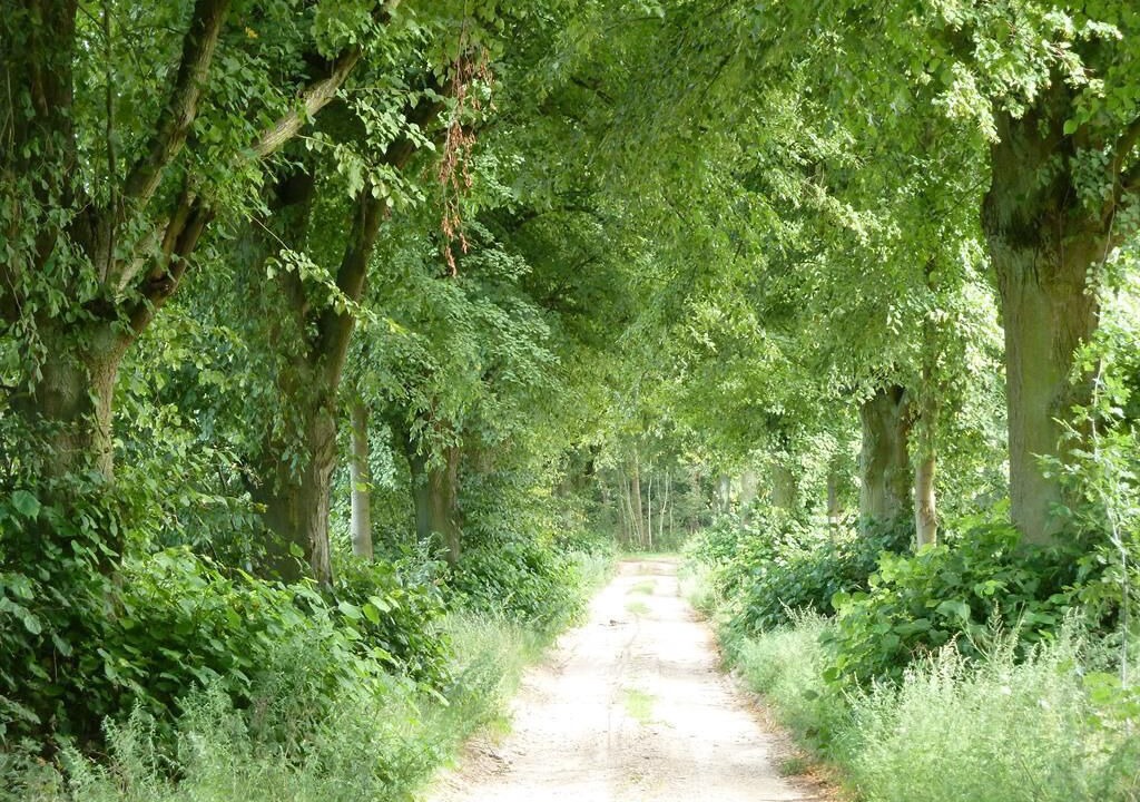 Photo of Outdoor in Roddelin