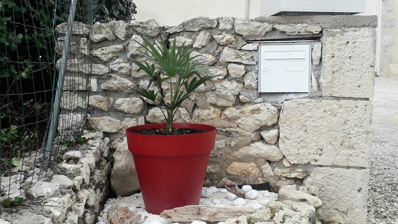 Photo of Outdoor in Fosse