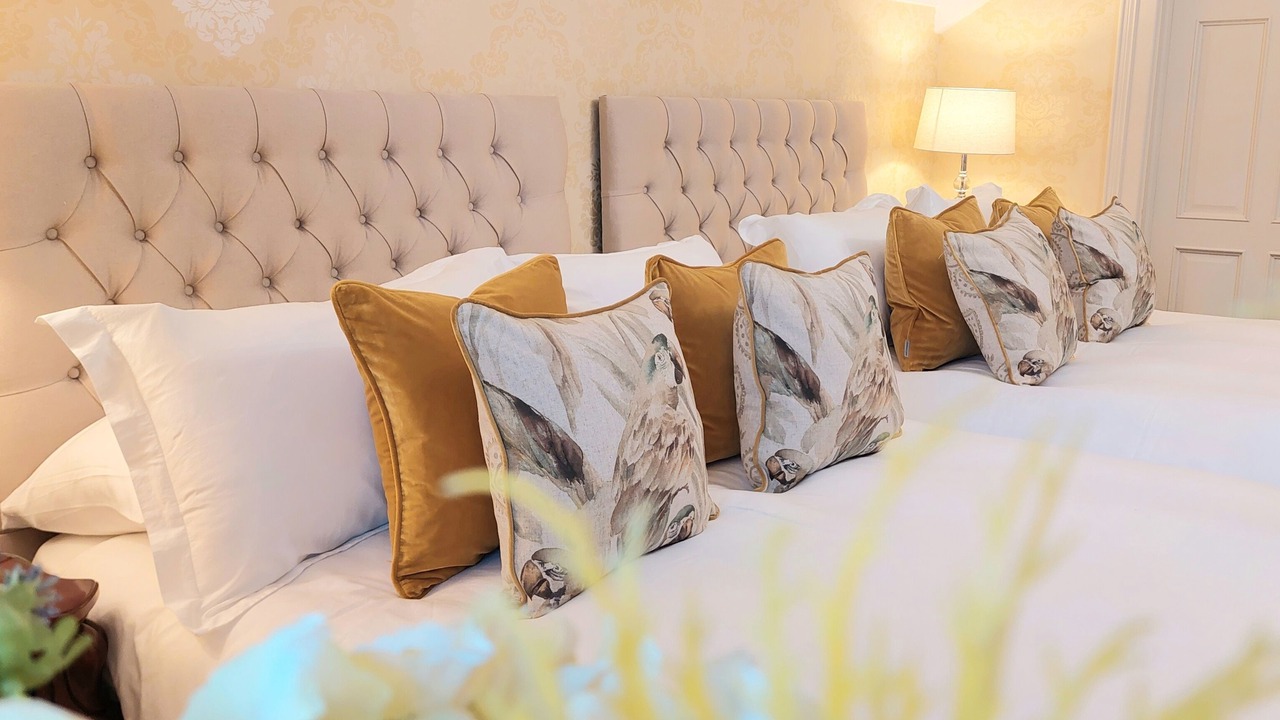 Photo of Bedroom in Dromod