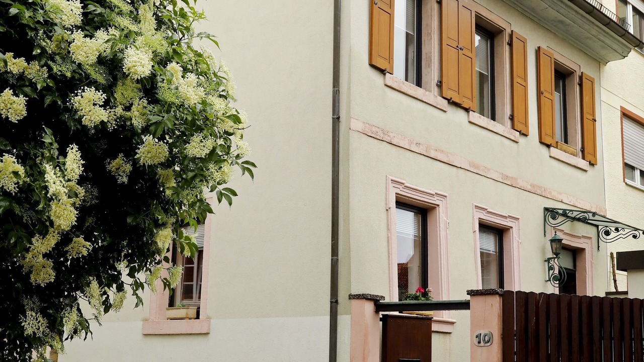 Photo of Outdoor in Bad Duerkheim