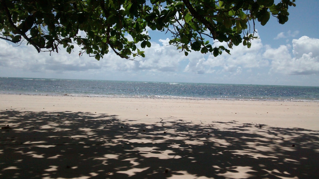Photo of Others in Velha Boipeba