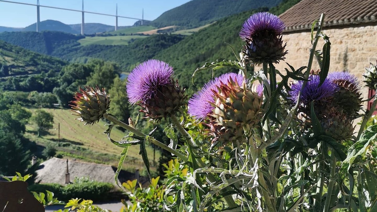 Photo of Outdoor in Compregnac