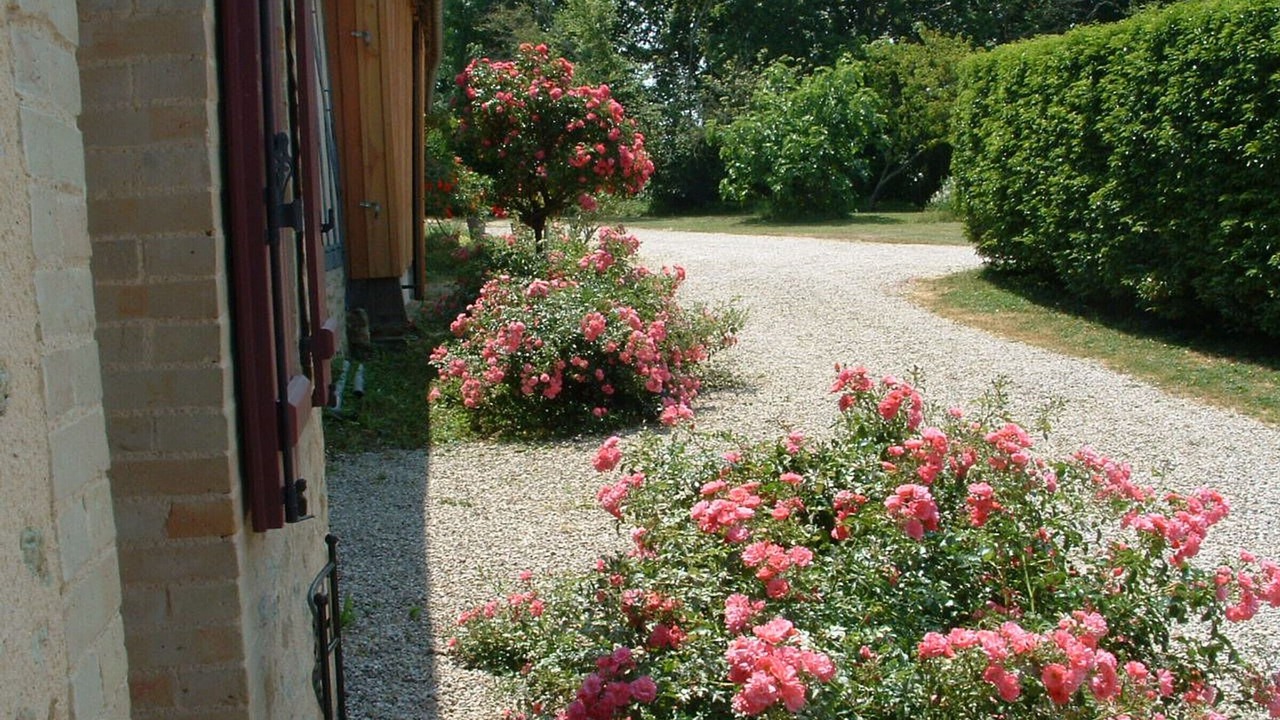 Photo of Outdoor in Ballon-Saint-Mars