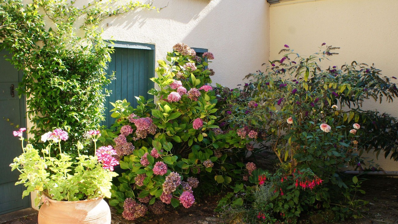Photo of Outdoor in Montmirail