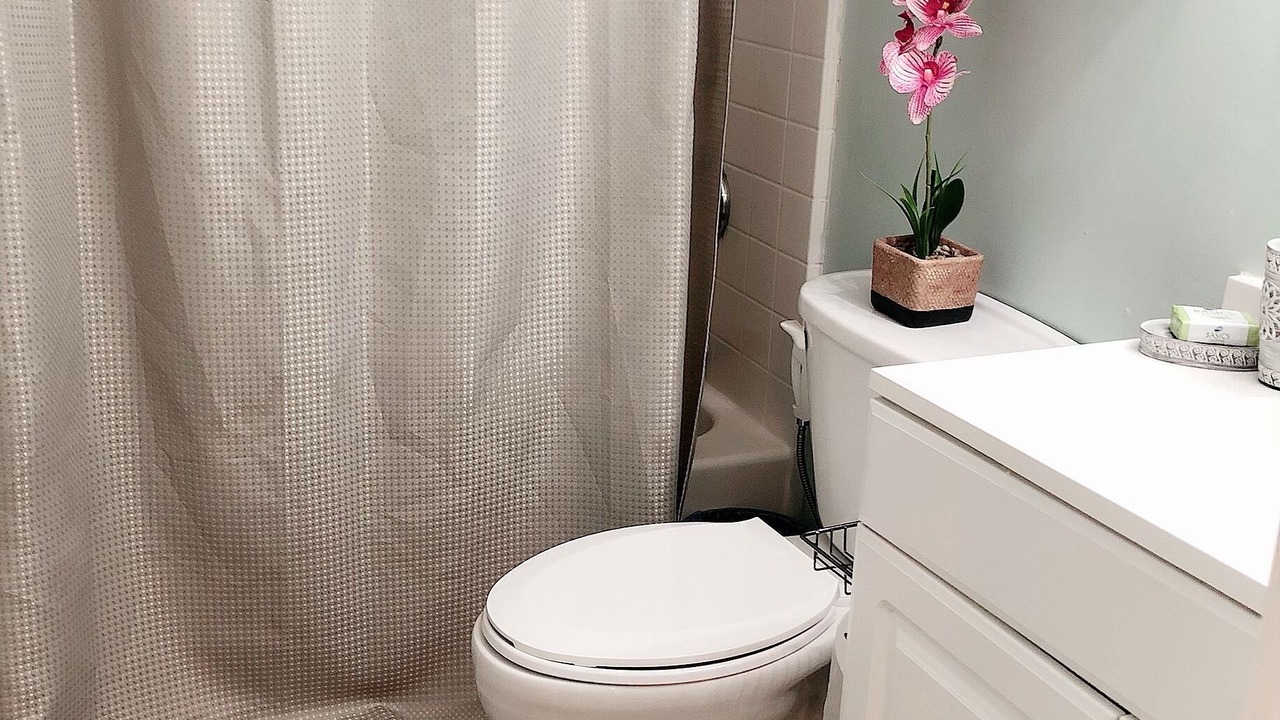 Photo of Bathroom in Lake Balboa