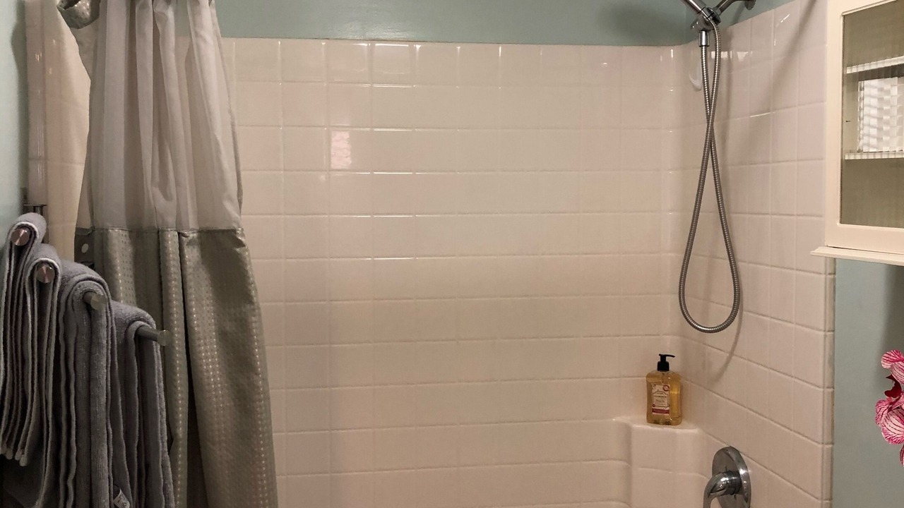 Photo of Bathroom in Lake Balboa