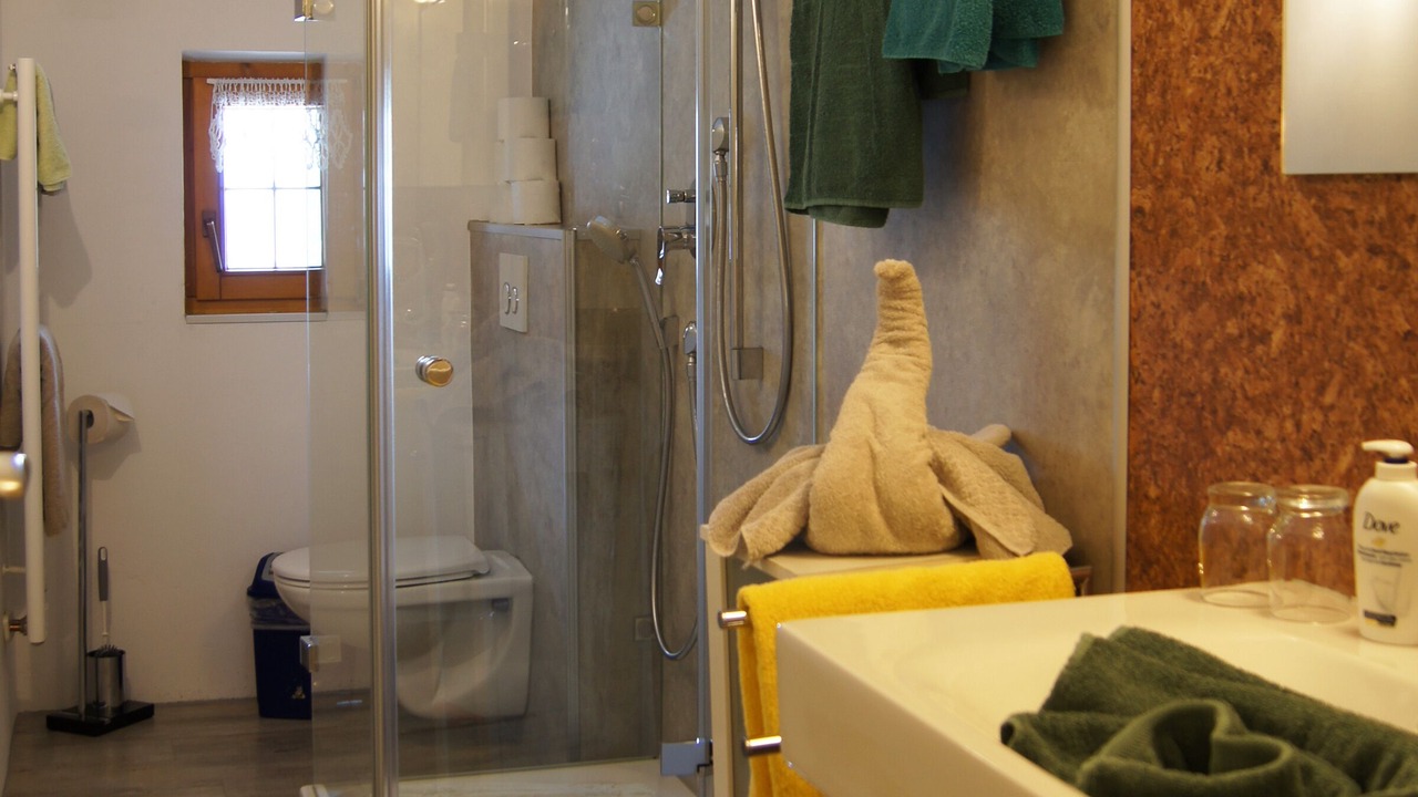 Photo of Bathroom in Hirschegg