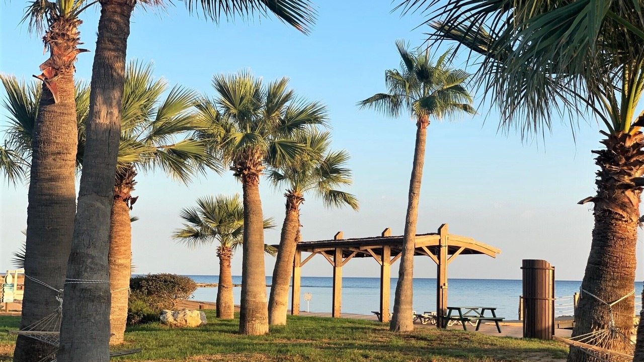 Photo of Outdoor in Bafra