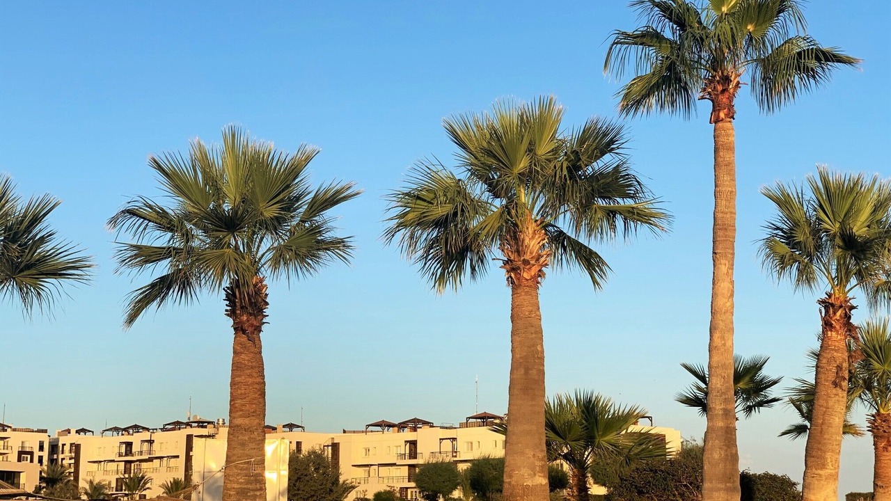 Photo of Outdoor in Bafra