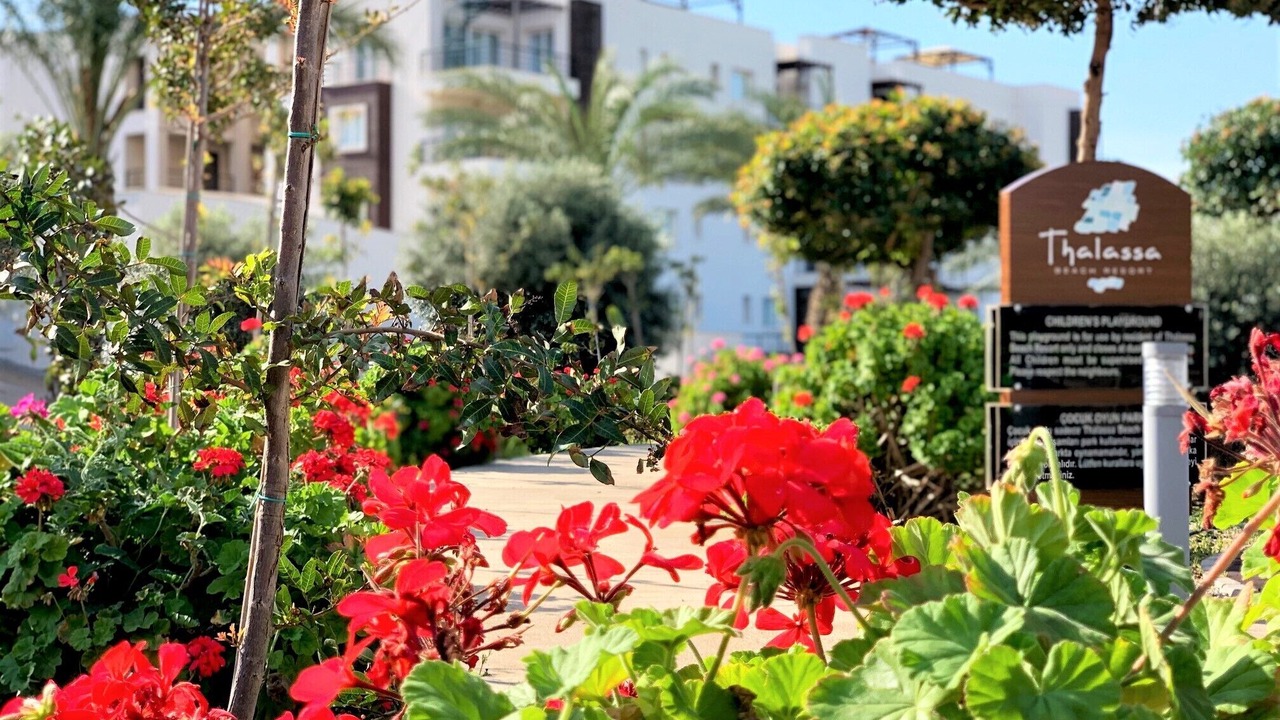 Photo of Outdoor in Bafra