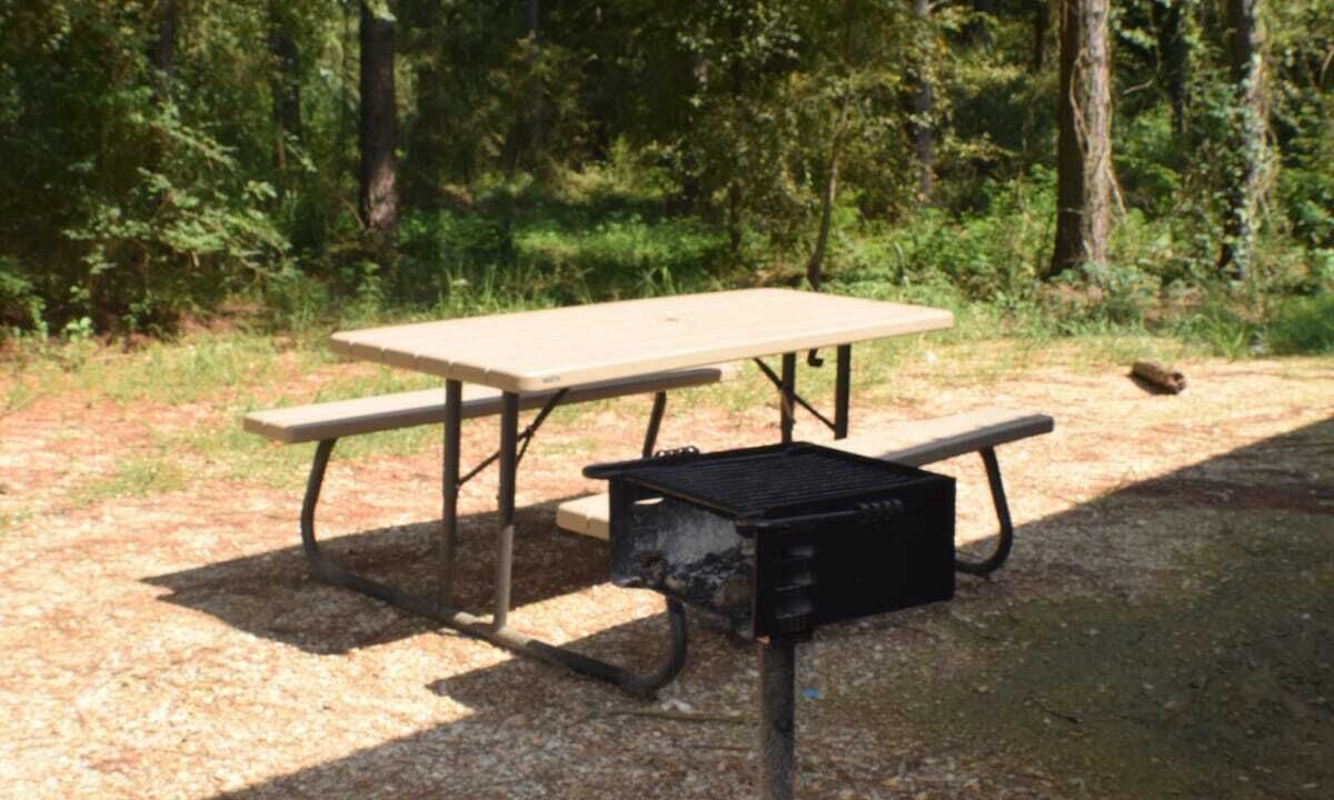 Photo of Outdoor in Golden