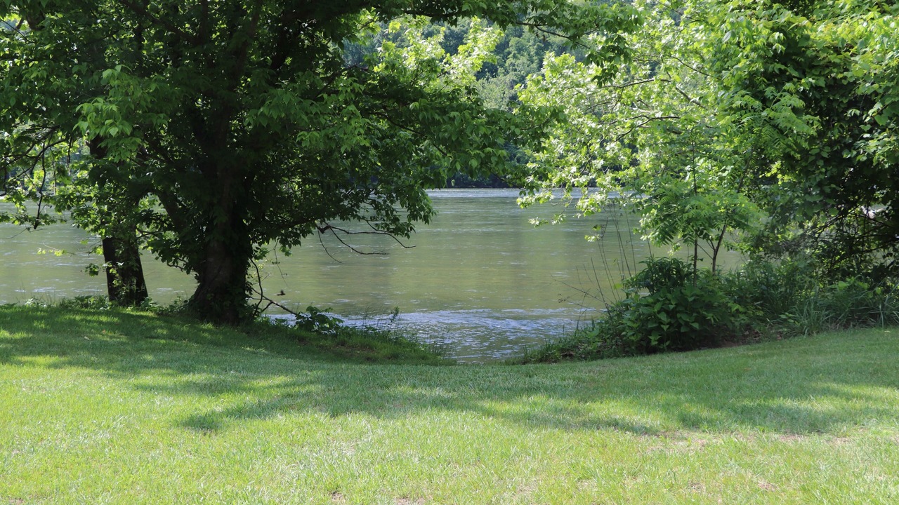 Photo of Others in New River