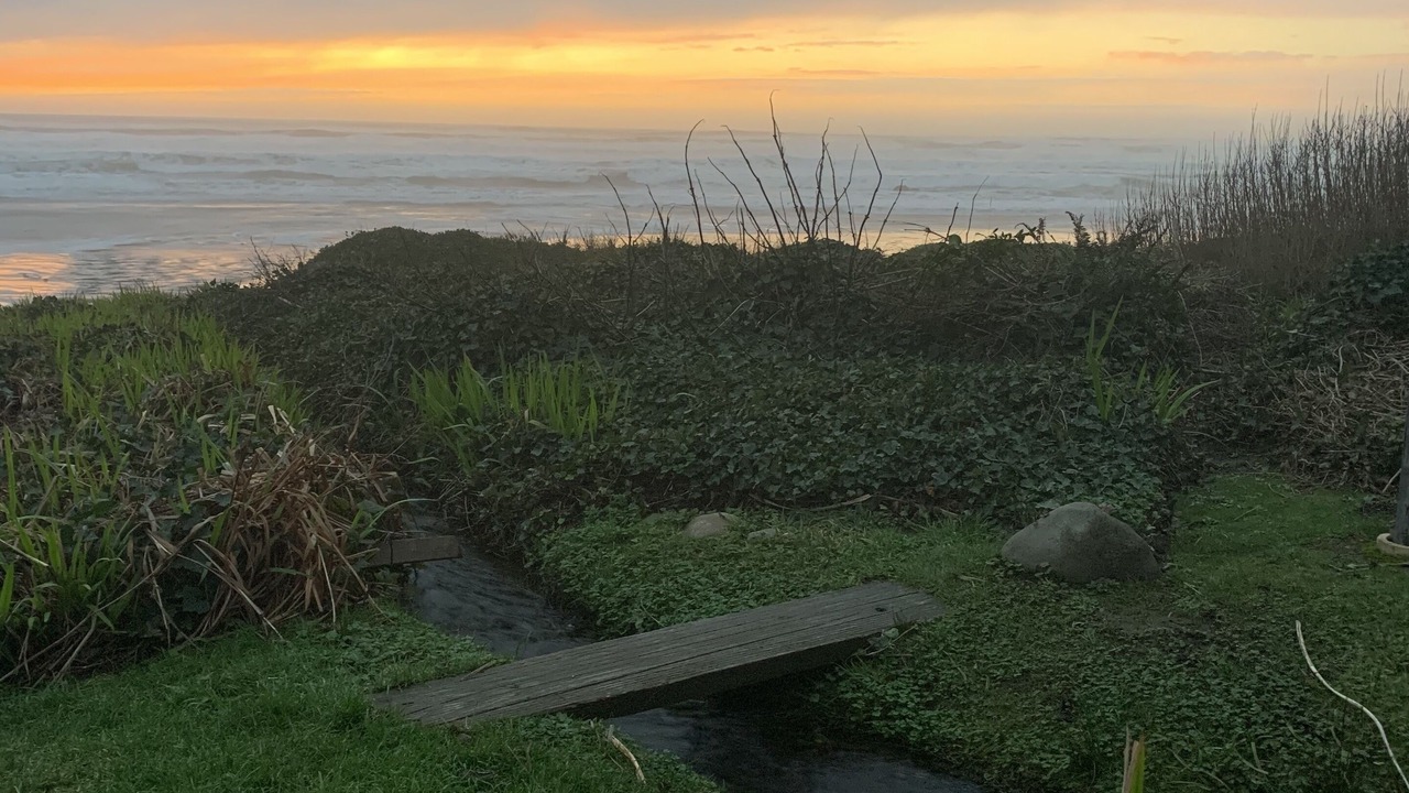 Photo of Others in Neahkahnie Beach