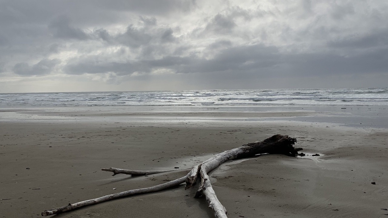Photo of Others in Neahkahnie Beach