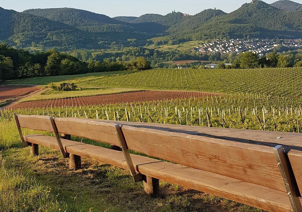 Photo of Others in Annweiler am Trifels