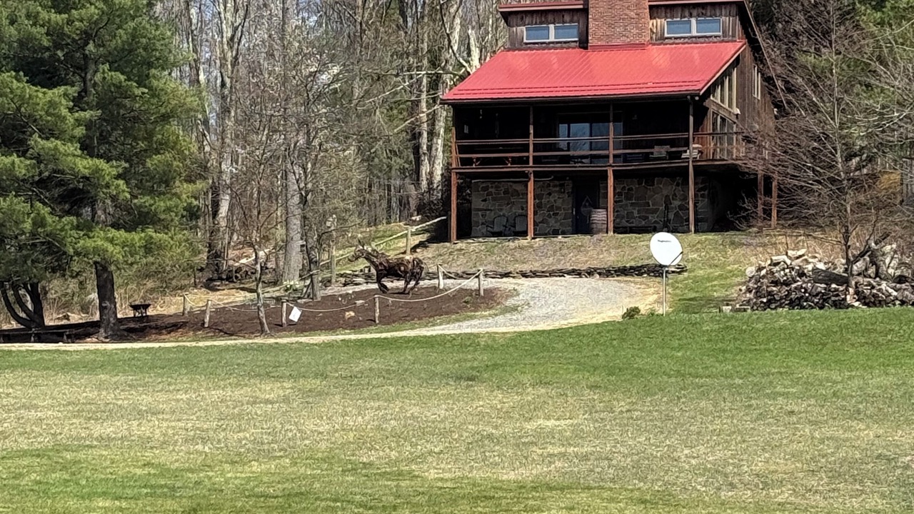 Photo of Outdoor in Camptown