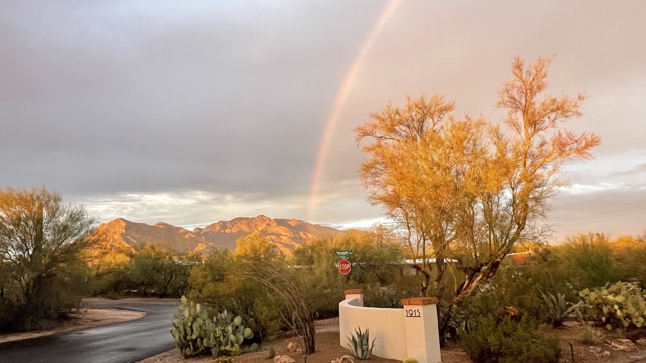 Photo of Others in Oracle Heights Estates