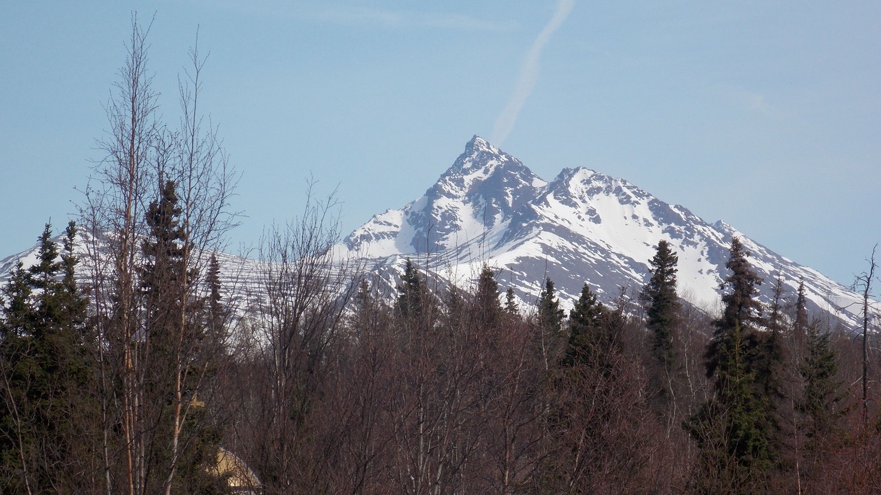 Photo of Outdoor in Huffman - O' Malley