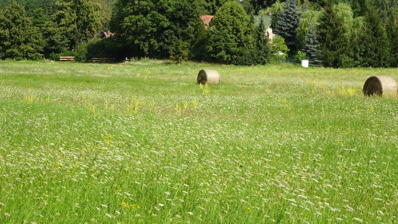 Photo of Others in Oberhavel