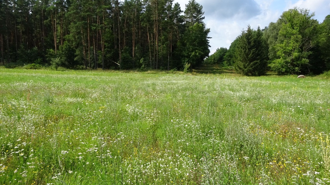 Photo of Others in Oberhavel
