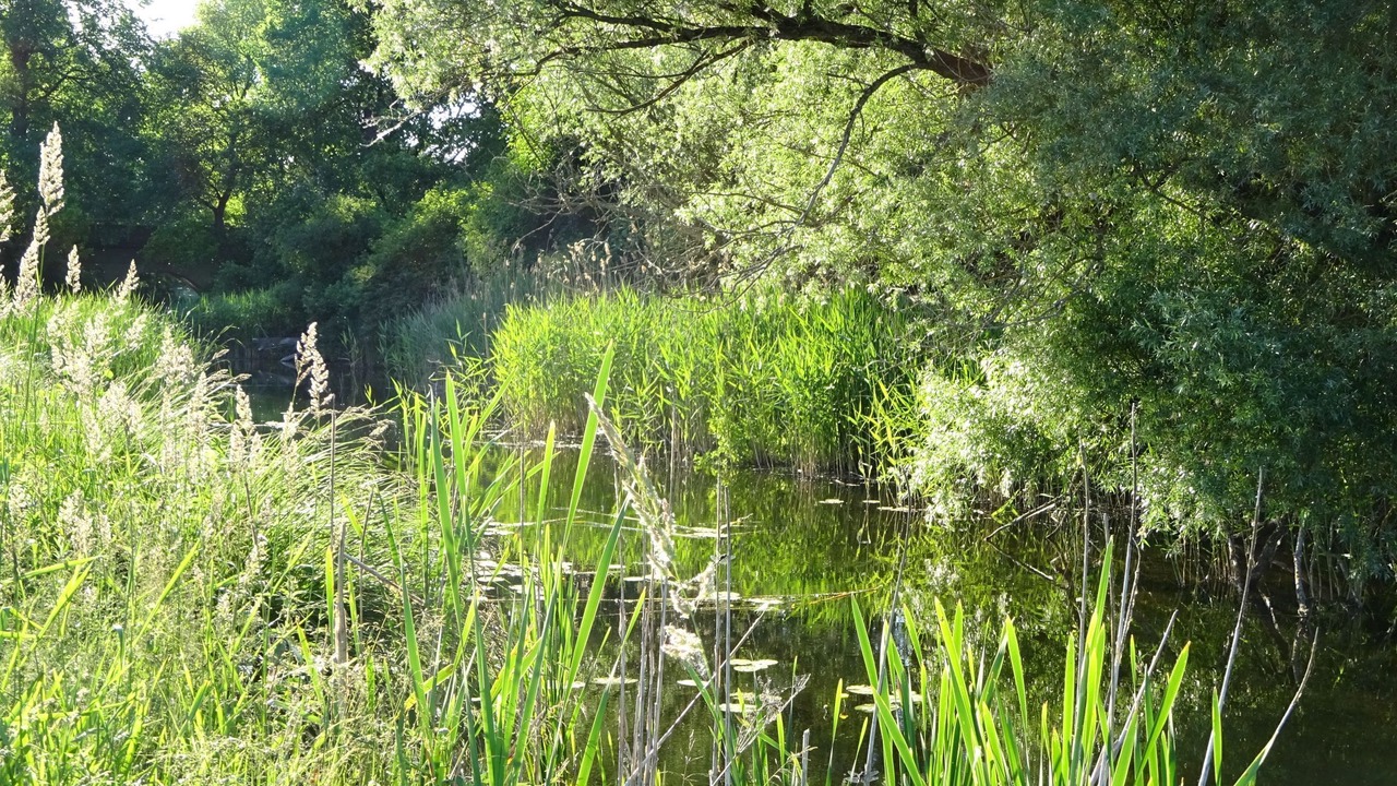 Photo of Outdoor in Oberhavel