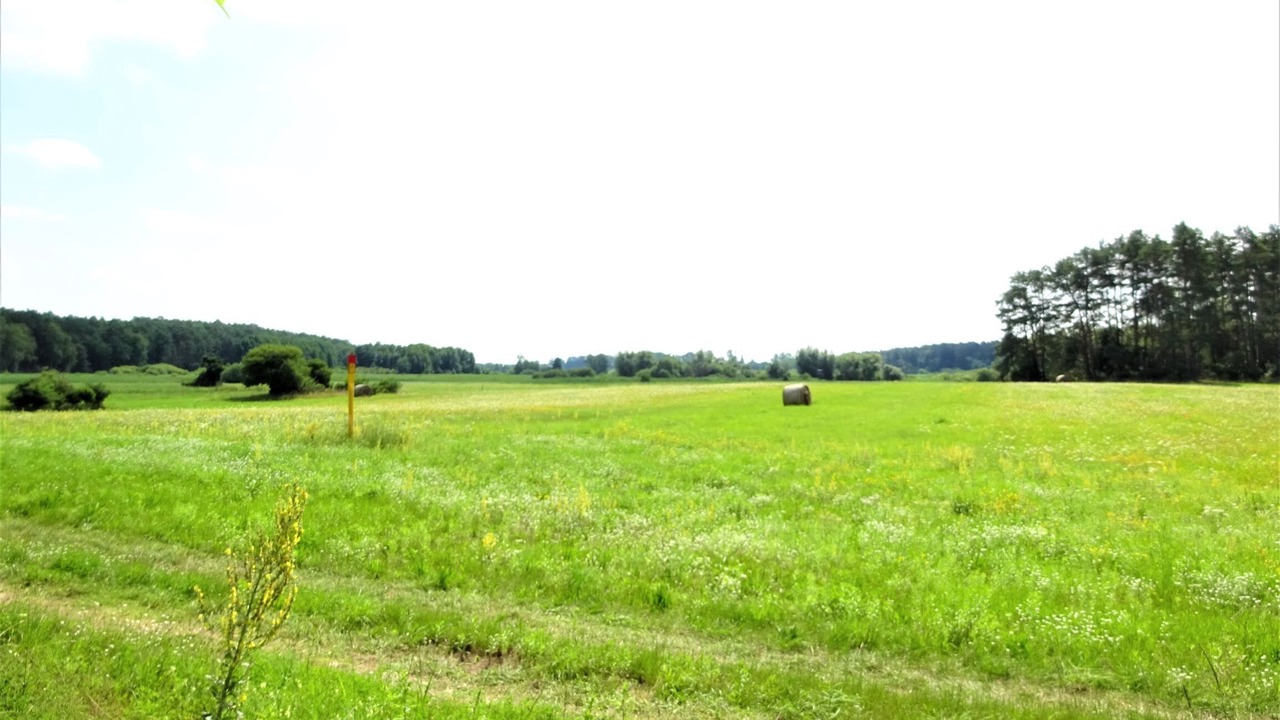 Photo of Others in Oberhavel