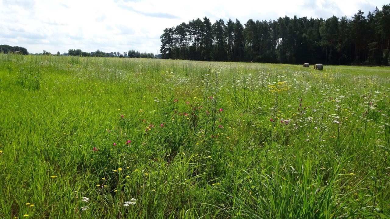 Photo of Outdoor in Oberhavel