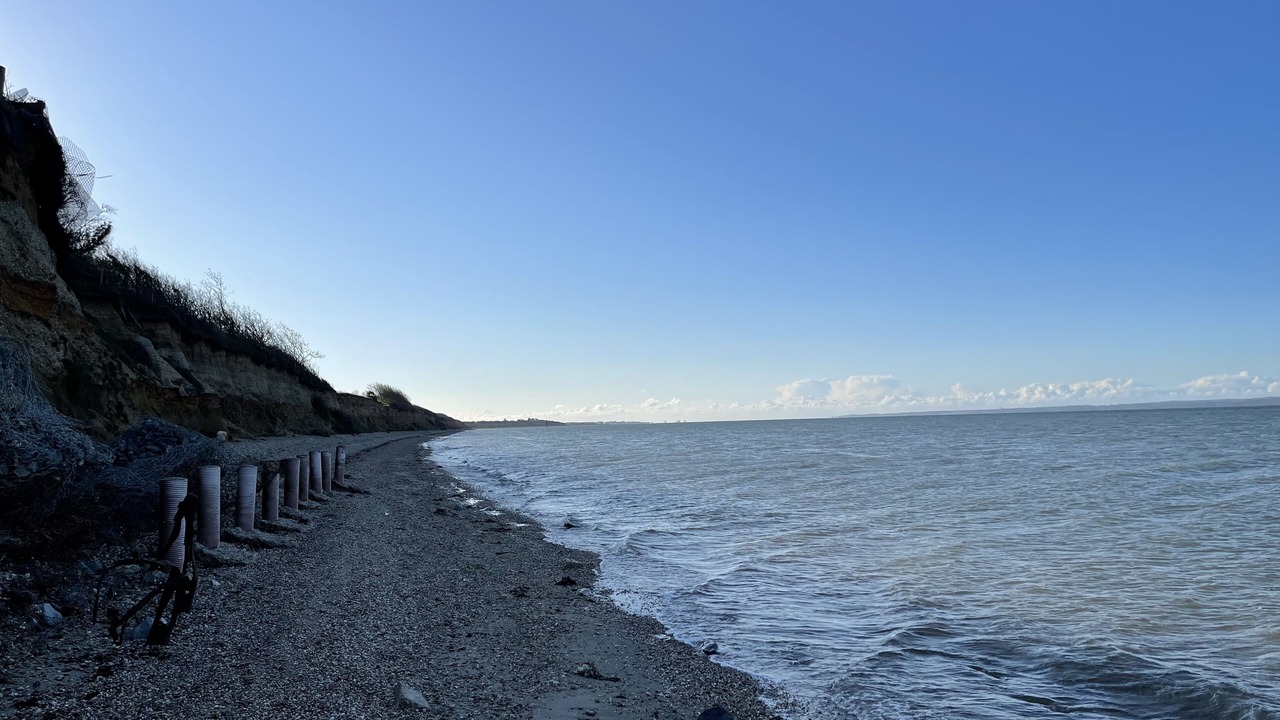 Photo of Others in Netley