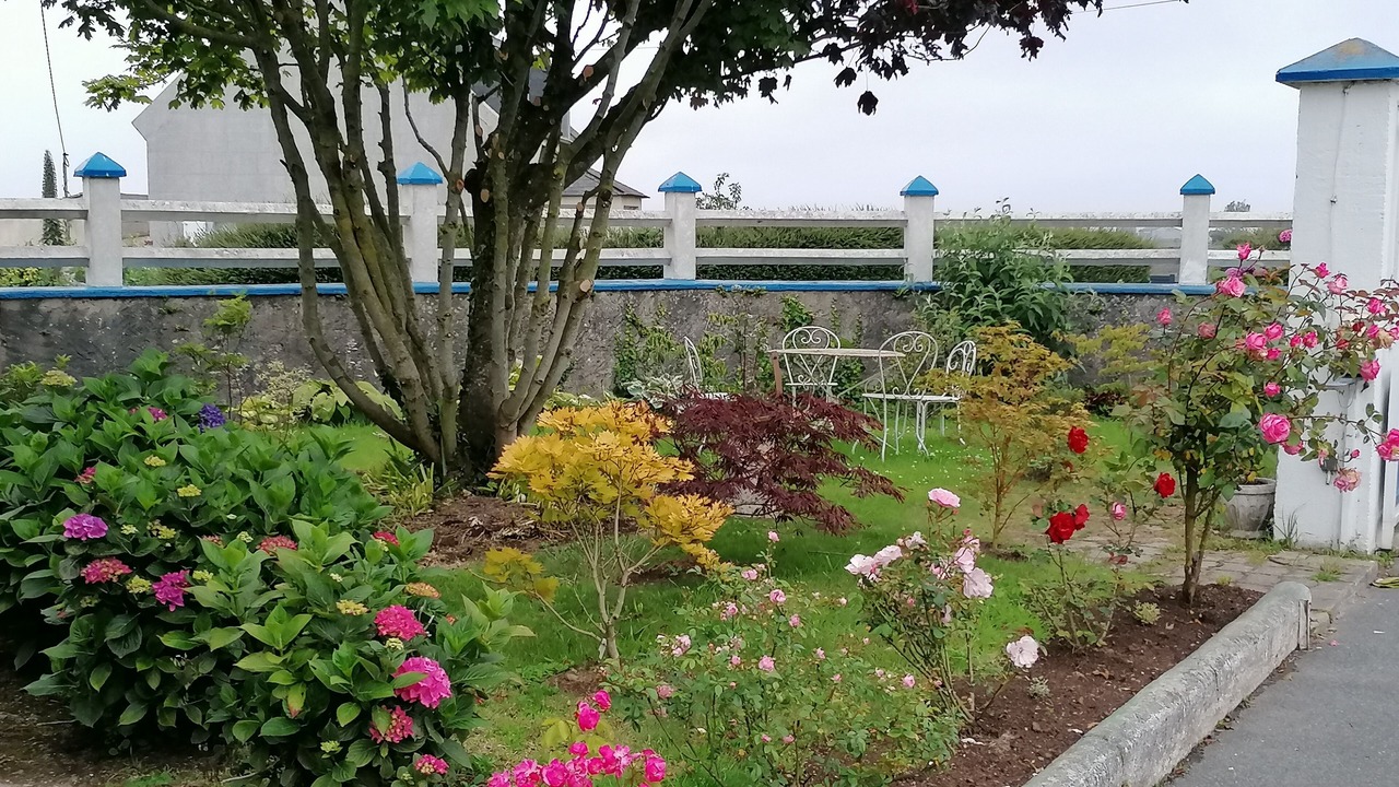 Photo of Outdoor in Saint-Pol-de-Leon