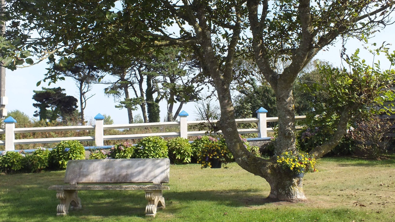 Photo of Outdoor in Saint-Pol-de-Leon