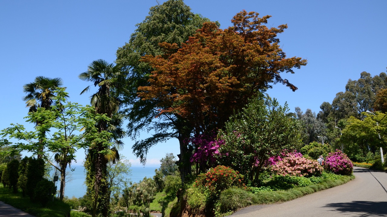 Photo of Outdoor in Mtsvane Kontskhi