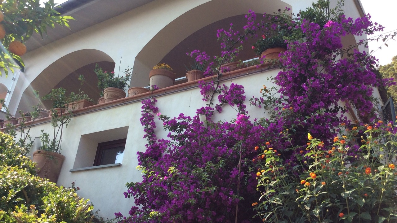Photo of Outdoor in Quercianella